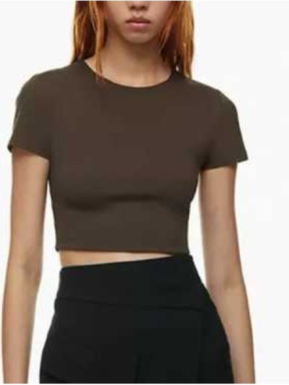 Aritzia Babaton Cropped Crewneck Top in Dark Brown